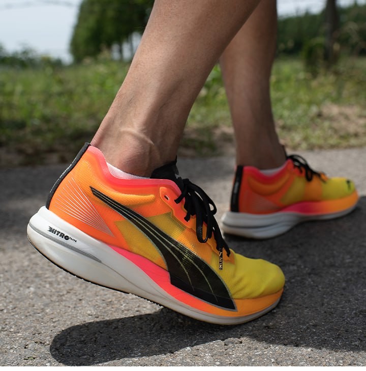 shoe